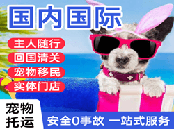 湘西边城航空邮寄国际宠物托运 【国